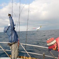 ジギング船 BLUEWATER 釣果