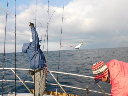 ジギング船 BLUEWATER 釣果