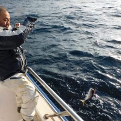 ジギング船 BLUEWATER 釣果