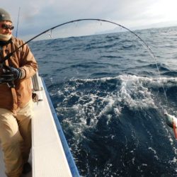 ジギング船 BLUEWATER 釣果