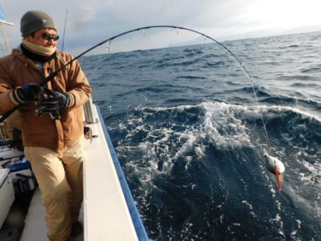 ジギング船 BLUEWATER 釣果