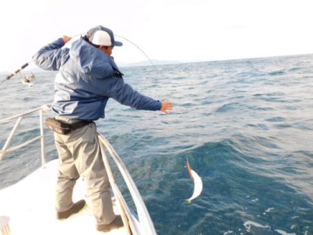 ジギング船 BLUEWATER 釣果