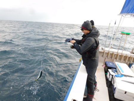ジギング船 BLUEWATER 釣果