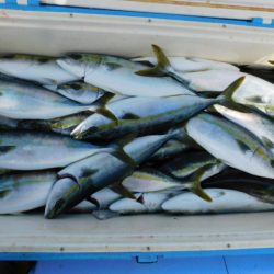 ジギング船 BLUEWATER 釣果