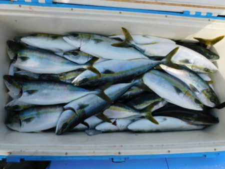 ジギング船 BLUEWATER 釣果