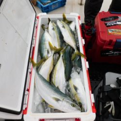 ジギング船 BLUEWATER 釣果