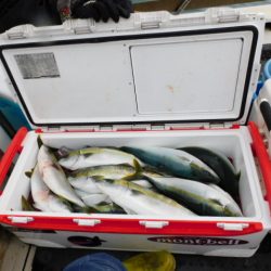 ジギング船 BLUEWATER 釣果