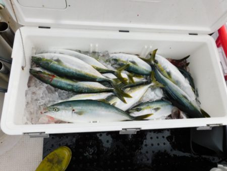 ジギング船 BLUEWATER 釣果