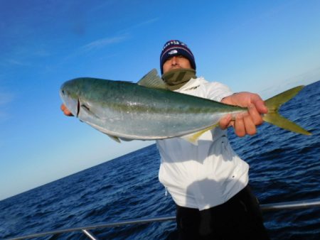 ジギング船 BLUEWATER 釣果