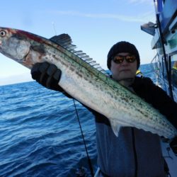 ジギング船 BLUEWATER 釣果