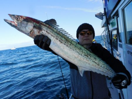 ジギング船 BLUEWATER 釣果