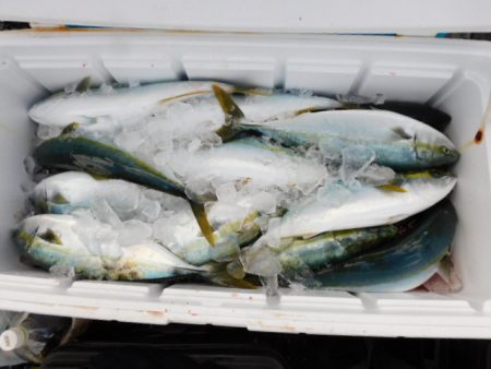 ジギング船 BLUEWATER 釣果