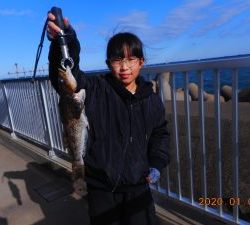 鹿島港魚釣園 釣果