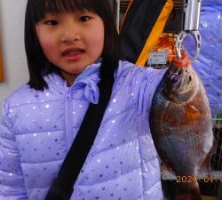 鹿島港魚釣園 釣果