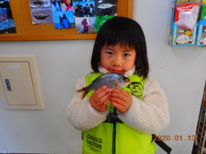 鹿島港魚釣園 釣果