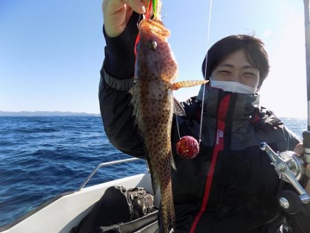 フィッシングボート空風（そらかぜ） 釣果