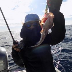 フィッシングボート空風（そらかぜ） 釣果