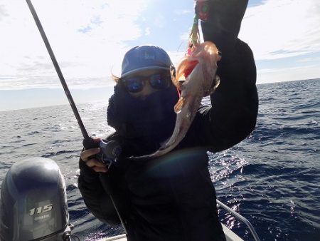 フィッシングボート空風（そらかぜ） 釣果