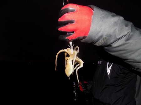 フィッシングボート空風(そらかぜ) 釣果