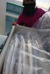 KONAYAーMARU(こなや丸) 釣果