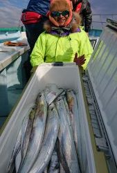 KONAYAーMARU(こなや丸) 釣果