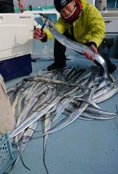 KONAYAーMARU(こなや丸) 釣果