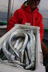 ＫＯＮＡＹＡｰＭＡＲＵ（こなや丸） 釣果