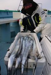 KONAYAーMARU(こなや丸) 釣果