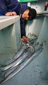 KONAYAーMARU(こなや丸) 釣果