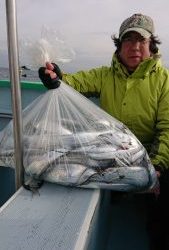 KONAYAーMARU(こなや丸) 釣果