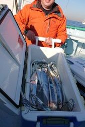 KONAYAーMARU(こなや丸) 釣果