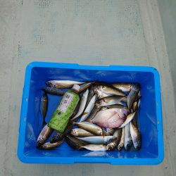 えすぽあ 釣果