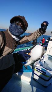 ＫＯＮＡＹＡｰＭＡＲＵ（こなや丸） 釣果