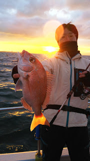 釣り舟　海竜 釣果