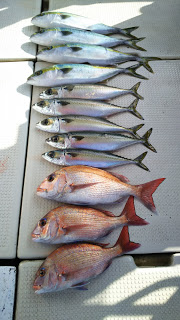 釣り舟　海竜 釣果