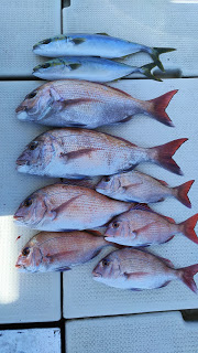 釣り舟　海竜 釣果