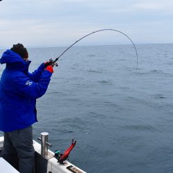 Fisherman Dreams DI 釣果