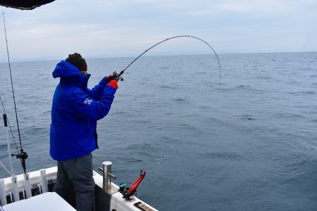 Fisherman Dreams DI 釣果