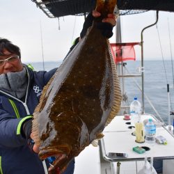 Fisherman Dreams DI 釣果