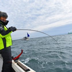 Fisherman Dreams DI 釣果