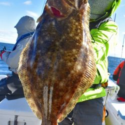 Fisherman Dreams DI 釣果