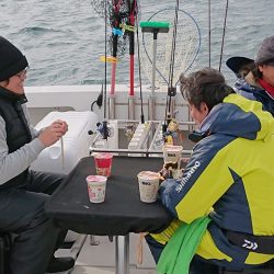 フィッシングボートACE(エース) 釣果