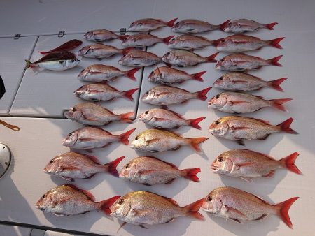 フィッシングボートACE（エース） 釣果