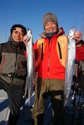 KONAYAーMARU(こなや丸) 釣果