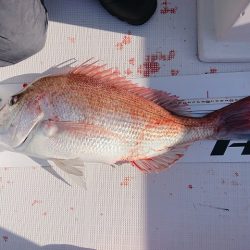 フィッシングボートACE(エース) 釣果