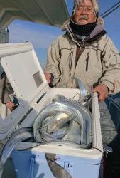 KONAYAーMARU(こなや丸) 釣果