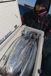 KONAYAーMARU(こなや丸) 釣果