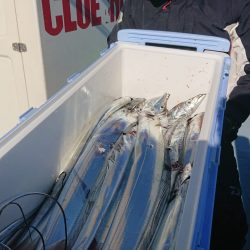 KONAYAーMARU(こなや丸) 釣果