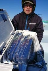 KONAYAーMARU(こなや丸) 釣果