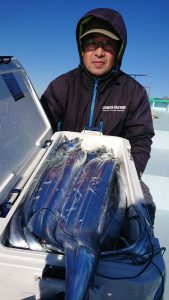 KONAYAーMARU(こなや丸) 釣果